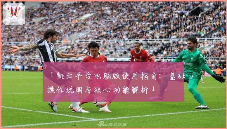 「凯云平台电脑版使用指南：基础操作说明与核心功能解析」